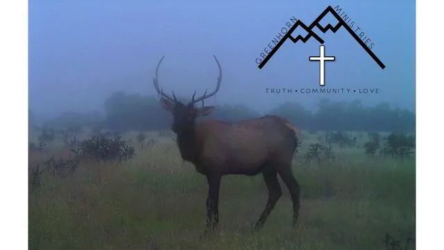 Greenhorn Ministries logo: an elk in a misty meadow beneath a mountain and cross